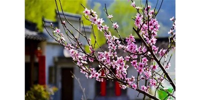 陽春三月，臺群精機(jī)一大波展會即將來襲，您準(zhǔn)備好了嗎？