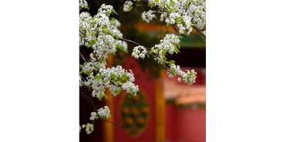 【展會資訊】臺群精機5月展會一覽，等您來參觀！